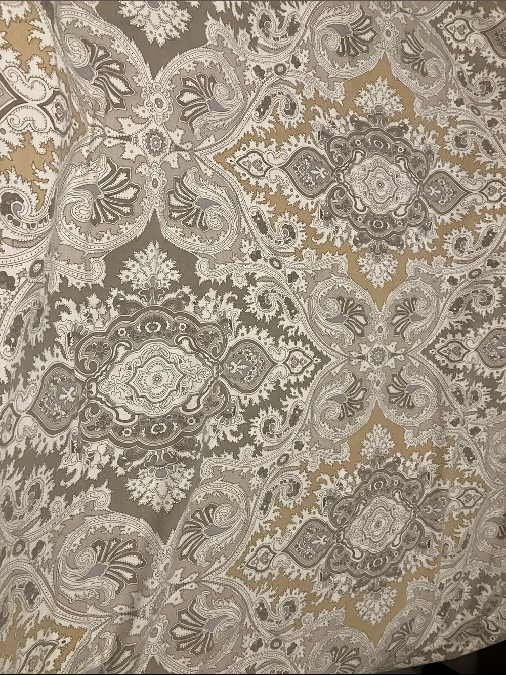 Echo Neutral Paisley Medallion Duvet Cover in Taupe, Cream, Gold - Twin, set of
